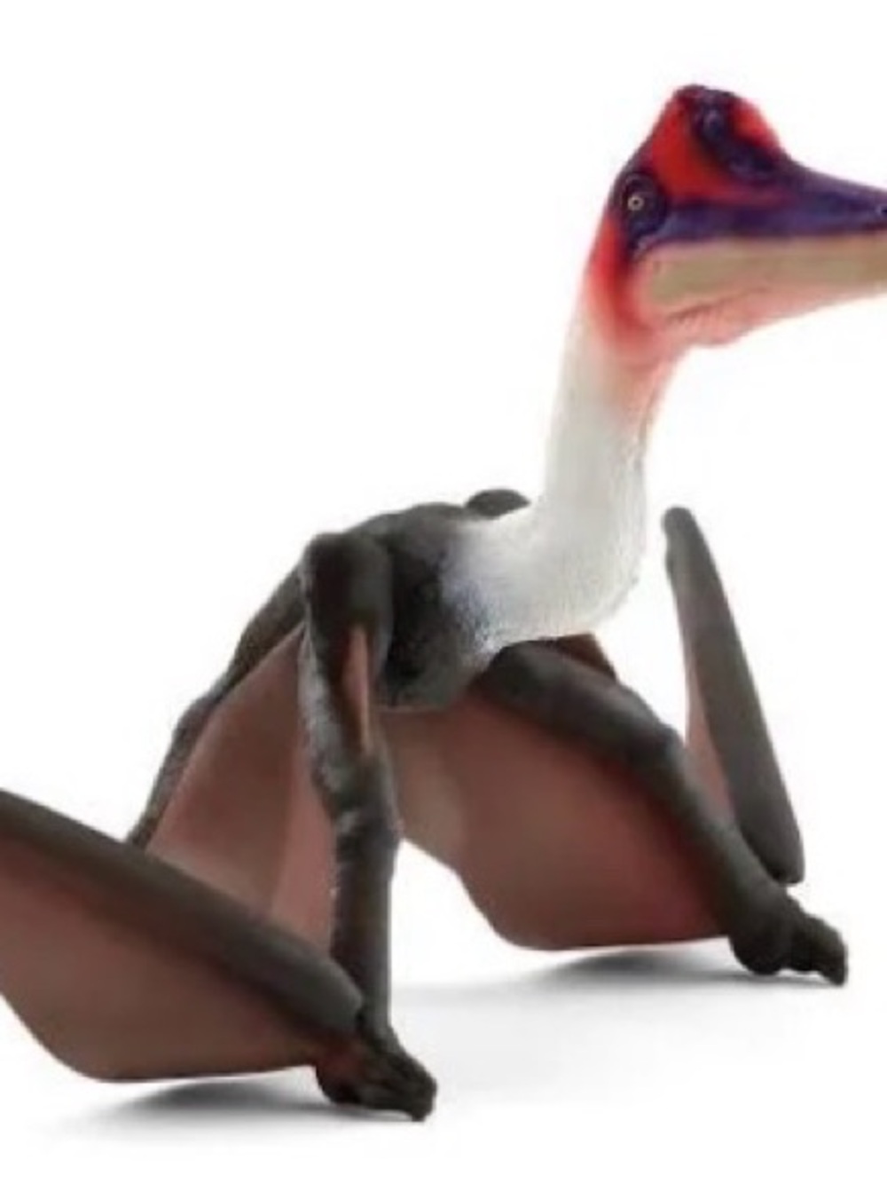 Kids Pterosaur Action Figure - White, Black & Red